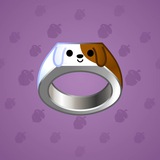 Signet Ring #13 Signet Ring #13