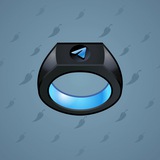 Signet Ring #13044 Signet Ring #13044