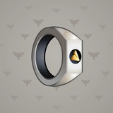 Signet Ring #13271