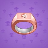 Signet Ring #13299 Signet Ring #13299