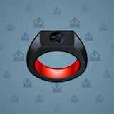 Signet Ring #13300