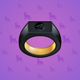 Signet Ring #13489 Signet Ring #13489