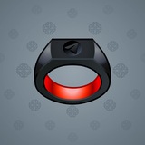 Signet Ring #13545
