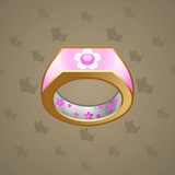 Signet Ring #1381 Signet Ring #1381