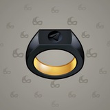 Signet Ring #14201