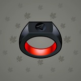 Signet Ring #14566 Signet Ring #14566
