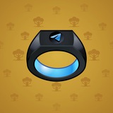 Signet Ring #14598 Signet Ring #14598