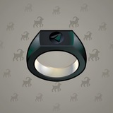 Signet Ring #14801 Signet Ring #14801