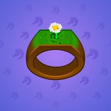 Signet Ring #1803
