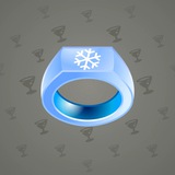 Signet Ring #1826