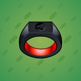 Signet Ring #2070