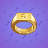 Signet Ring #2382