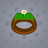 Signet Ring #2938