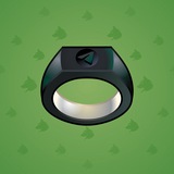 Signet Ring #305