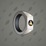 Signet Ring #3323