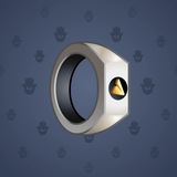 Signet Ring #333 Signet Ring #333