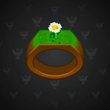 Signet Ring #3767