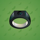 Signet Ring #3821