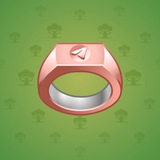 Signet Ring #389 Signet Ring #389
