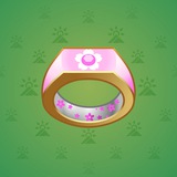 Signet Ring #4743