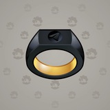 Signet Ring #5974