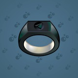 Signet Ring #6329 Signet Ring #6329