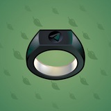 Signet Ring #6529