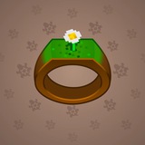 Signet Ring #6753