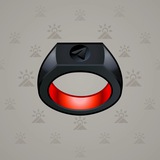 Signet Ring #699