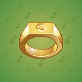 Signet Ring #6998 Signet Ring #6998