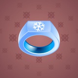 Signet Ring #7469