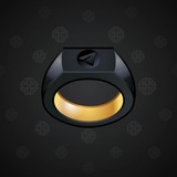 Signet Ring #794
