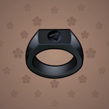 Signet Ring #8064 Signet Ring #8064