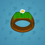 Signet Ring #8542