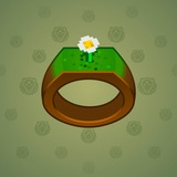 Signet Ring #8578