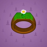 Signet Ring #8867