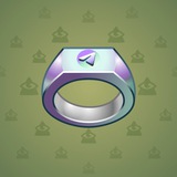 Signet Ring #8895 Signet Ring #8895