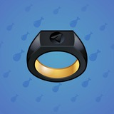 Signet Ring #894 Signet Ring #894