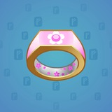 Signet Ring #8957