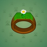 Signet Ring #9835
