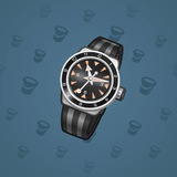 Swiss Watch #10177 Swiss Watch #10177