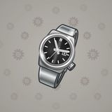 Swiss Watch #10201 Swiss Watch #10201