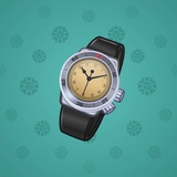 Swiss Watch #12253 Swiss Watch #12253