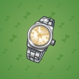 Swiss Watch #12313 Swiss Watch #12313
