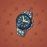 Swiss Watch #14024 Swiss Watch #14024