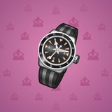 Swiss Watch #14288 Swiss Watch #14288