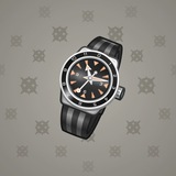 Swiss Watch #14373