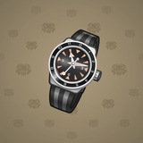 Swiss Watch #14842