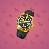 Swiss Watch #14998 Swiss Watch #14998