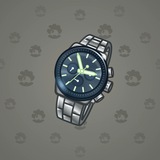 Swiss Watch #17576